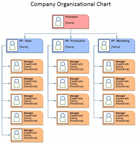 organizational charts & manuals