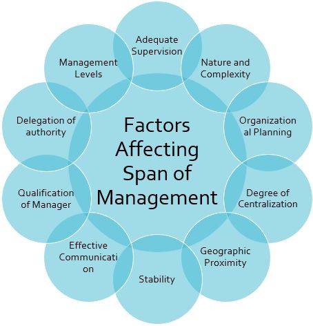 span of management