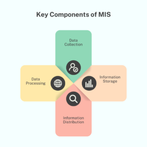 components of management information system