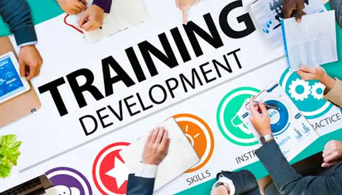 training & Development