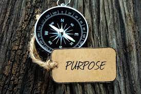 purpose